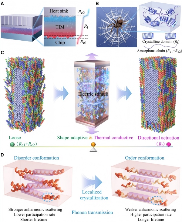 1770021743405815.jpg 111.jpg