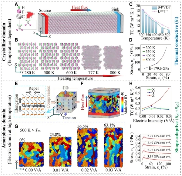 1770021850387503.jpg 11.jpg