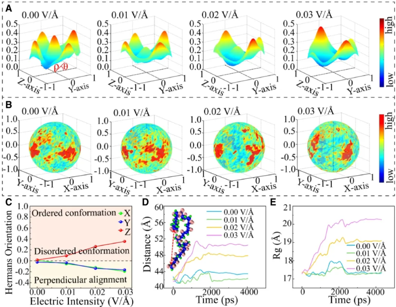 1770021957185933.png image.png