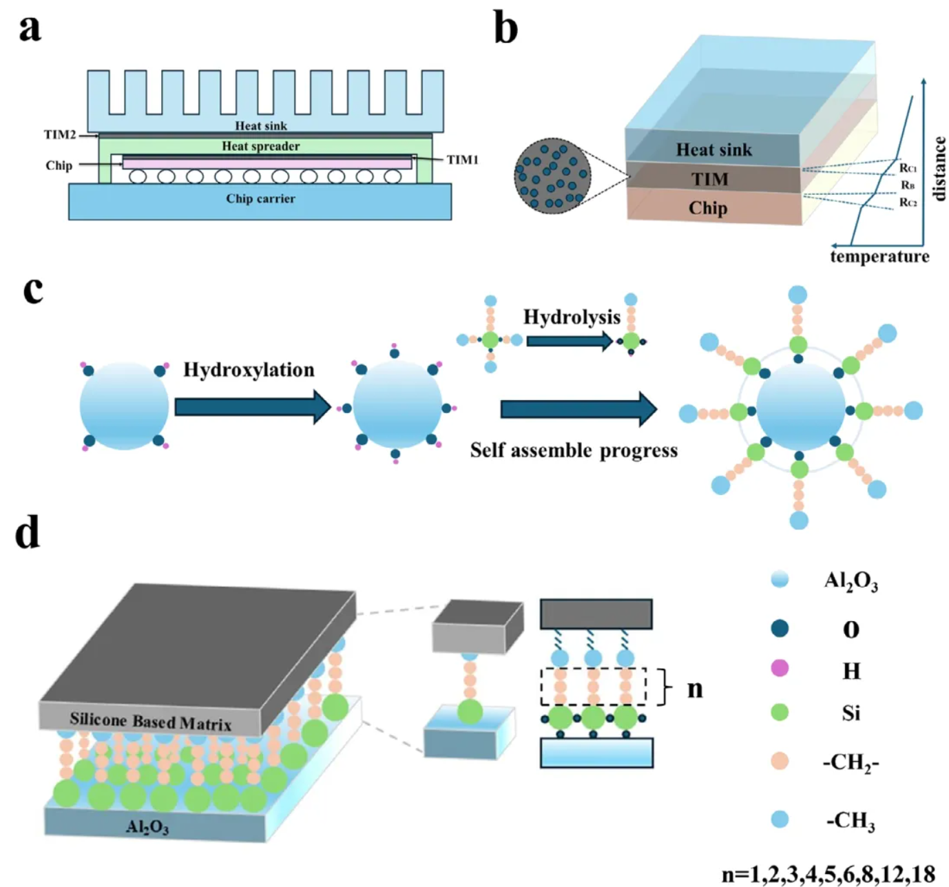 1772009033752537.png image.png