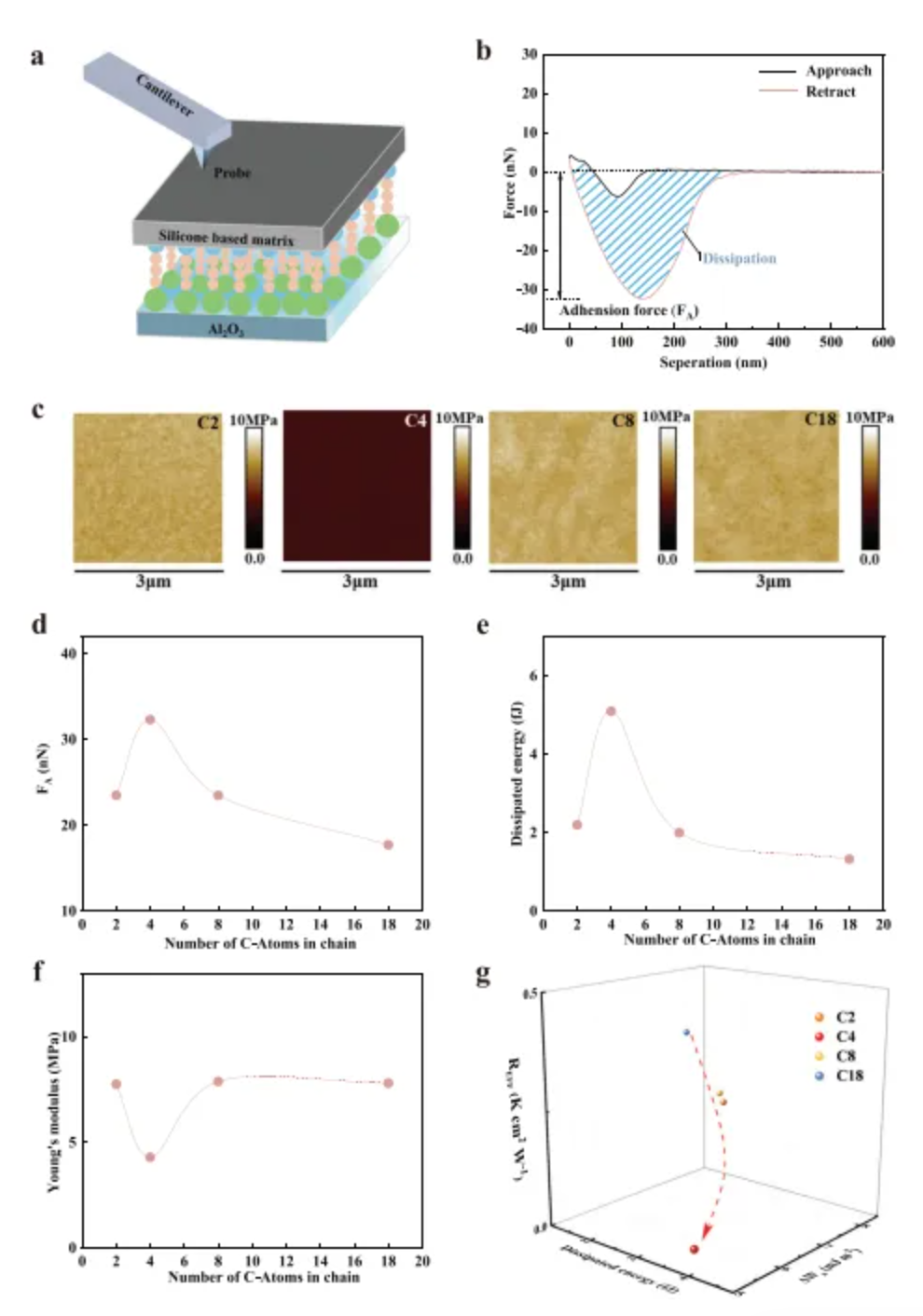 1772009168441225.png image.png