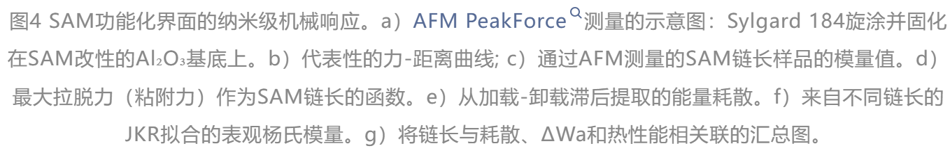 1772009185521793.png image.png