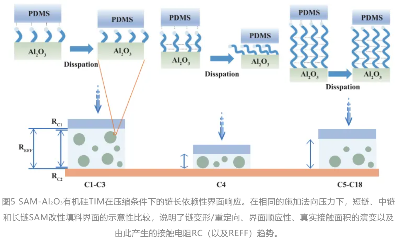 1772009214168284.png image.png