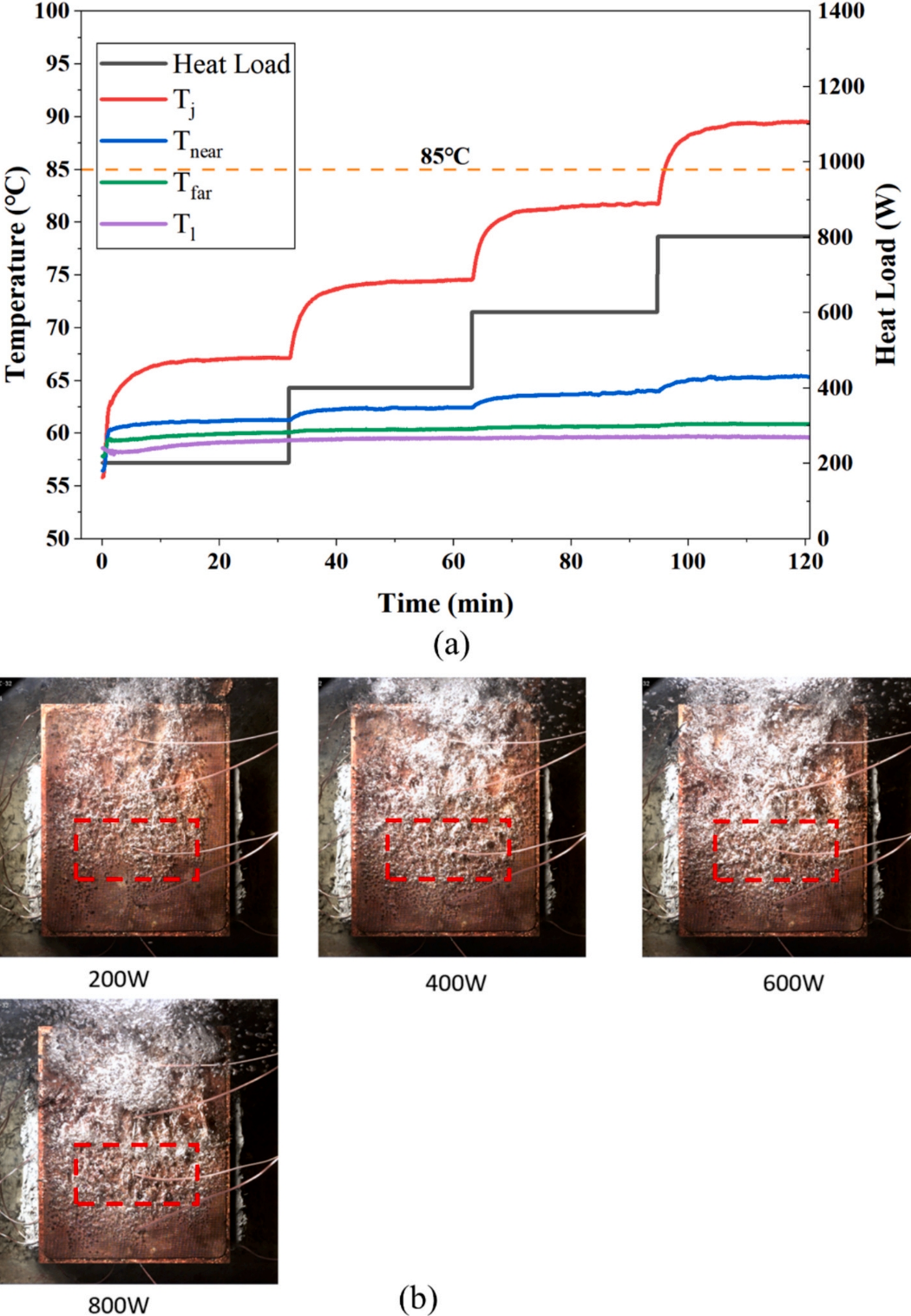 1773048440852630.png image.png