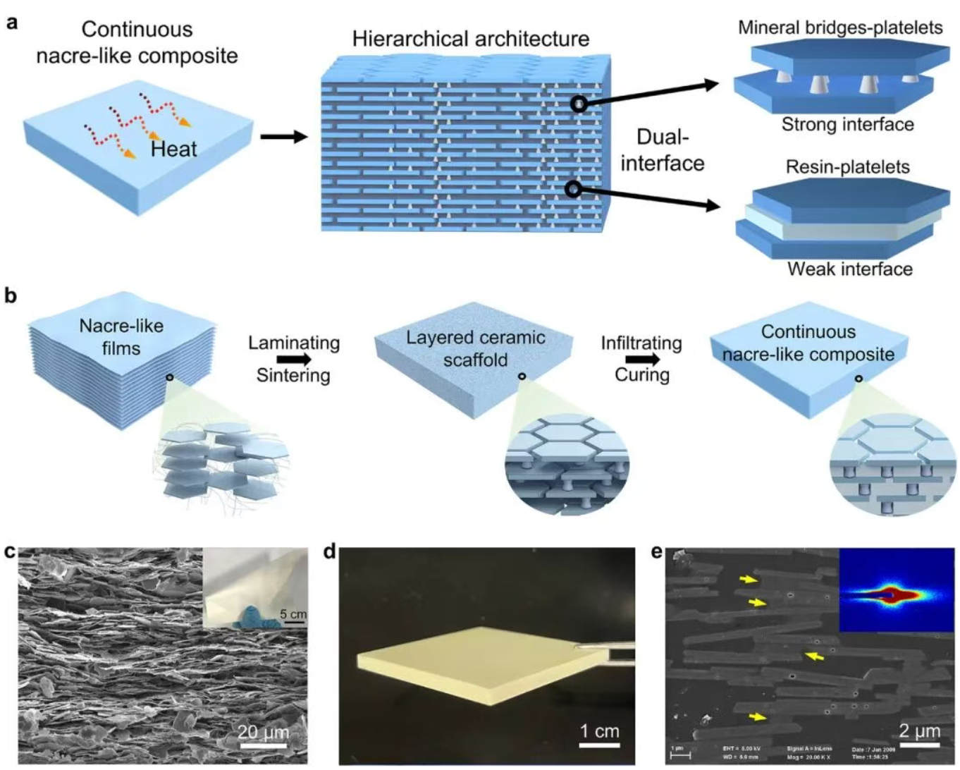 1769481733383156.png image.png