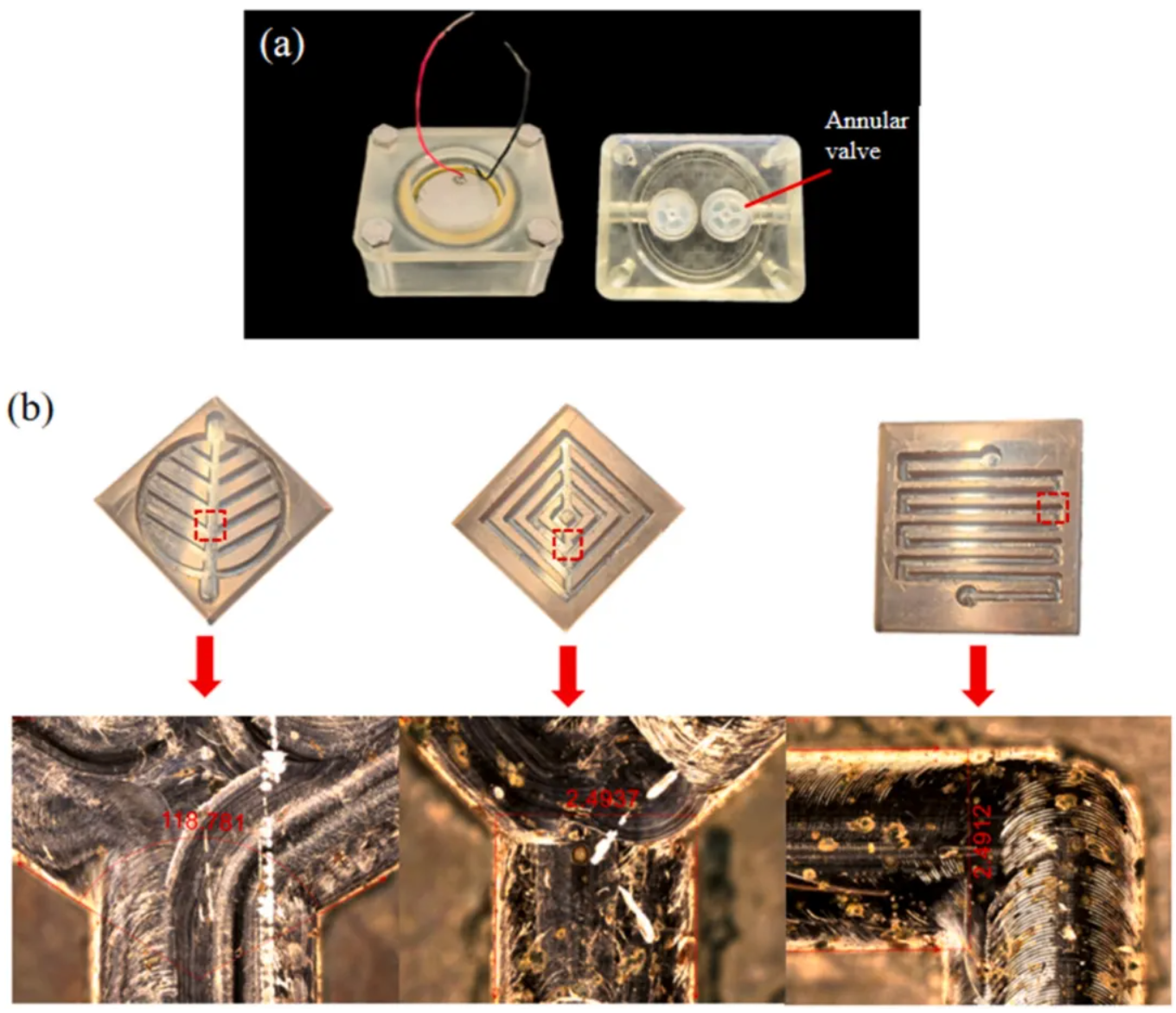 1770107704231200.png image.png